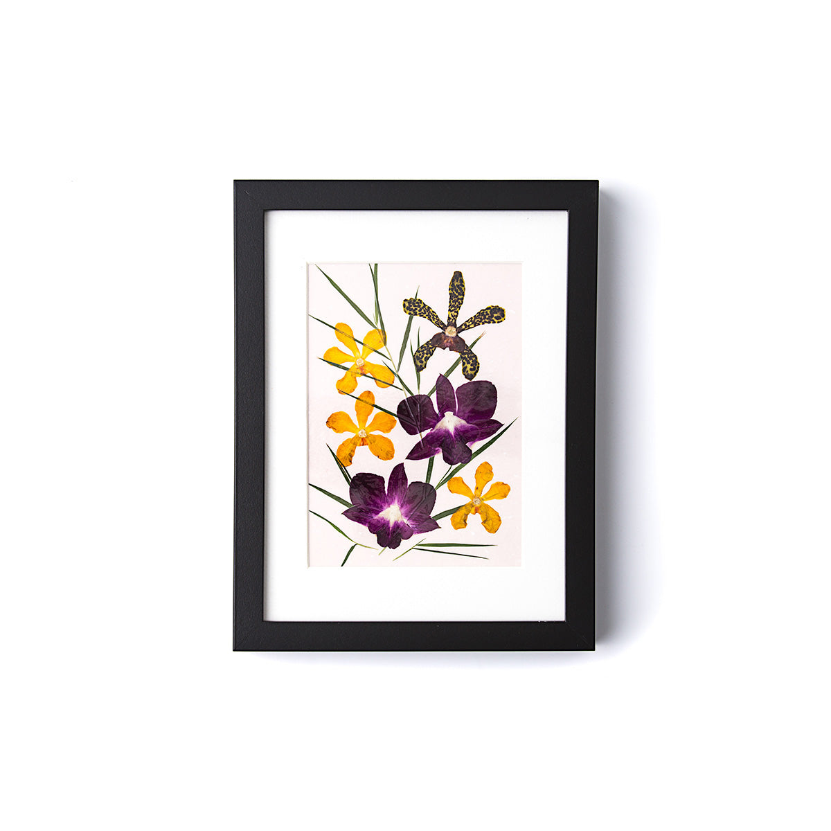 Framed Pressed Flower