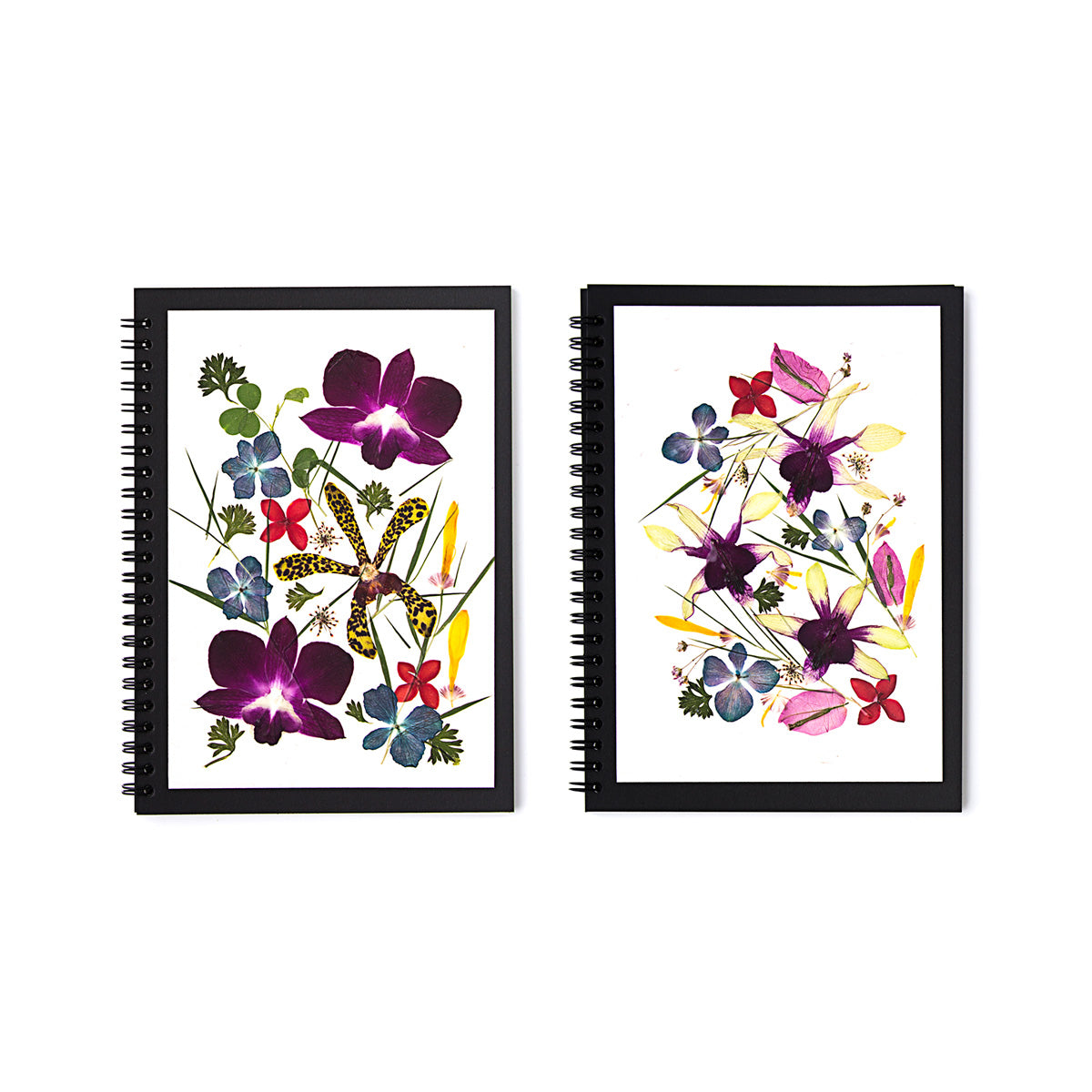 Singapore Orchid Notebook A5