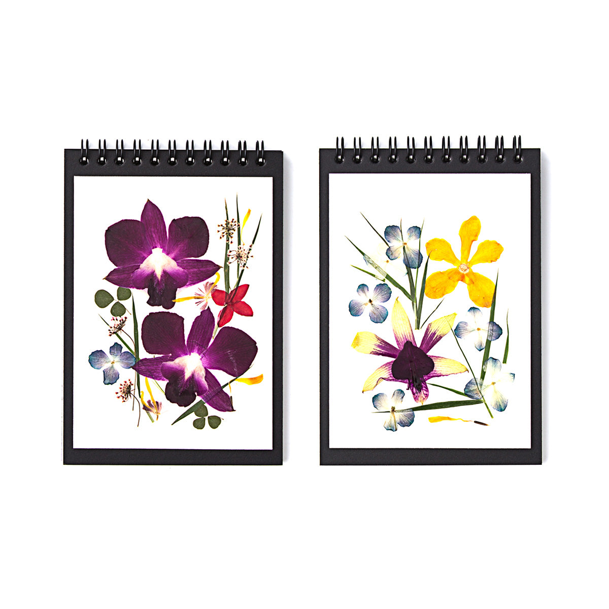 Singapore Orchid Notebook A6