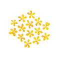Orchid Aranda Yellow