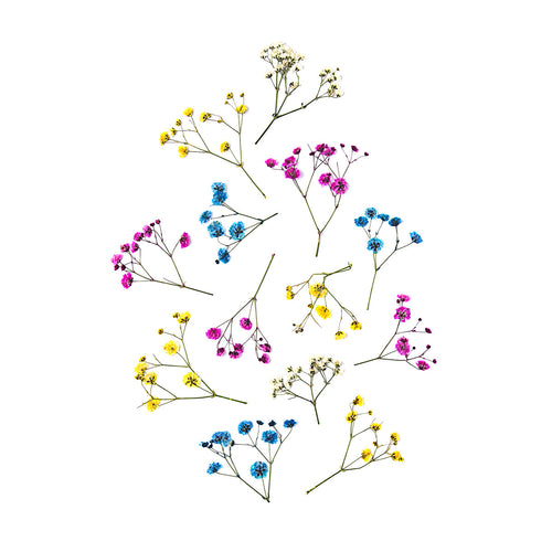 Baby's Breath Mix