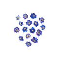 Delphinium