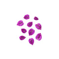 Bougainville Purple