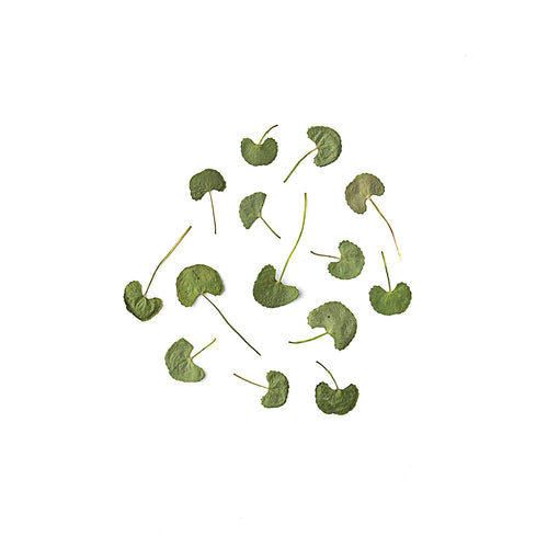 Heart Shape Leaves